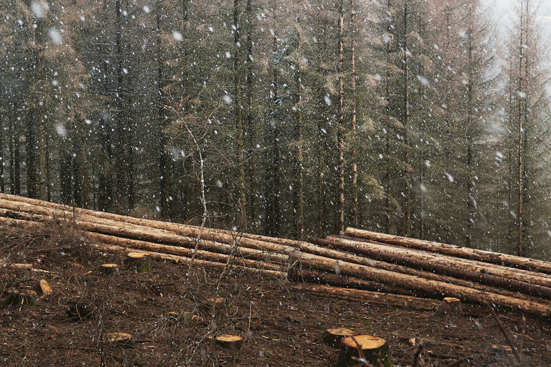 Jörg Marx Photo series : Sometimes It Snows In April, 2021, Winterscape